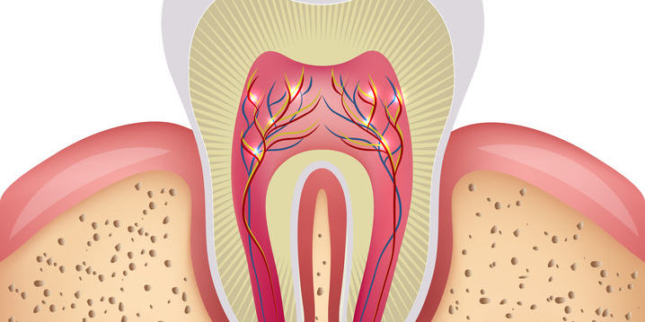 periodontal disease lexington ky